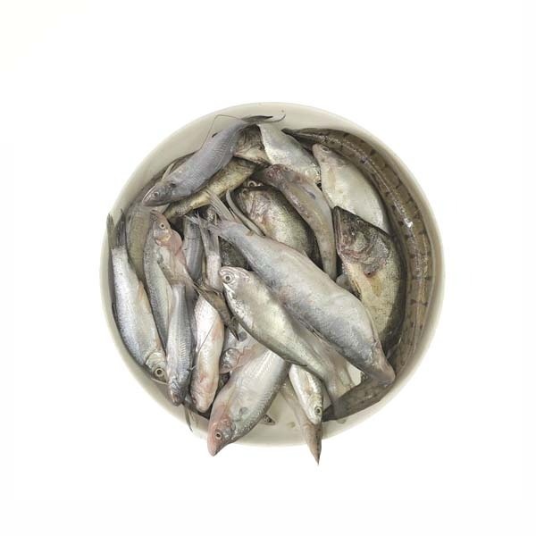 Mix Fish 500g Jb