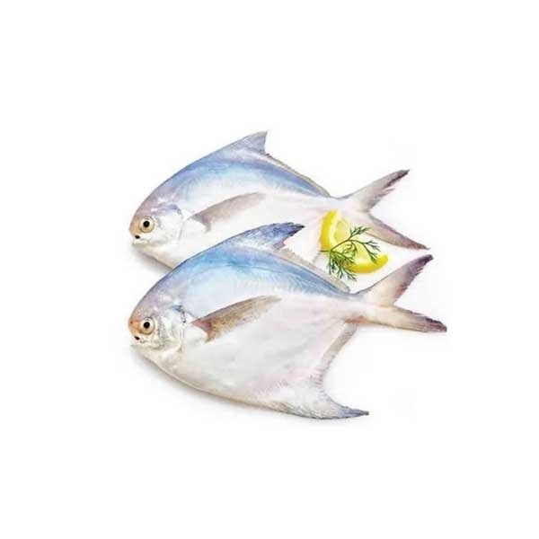Rupchanda Fish (800gm)